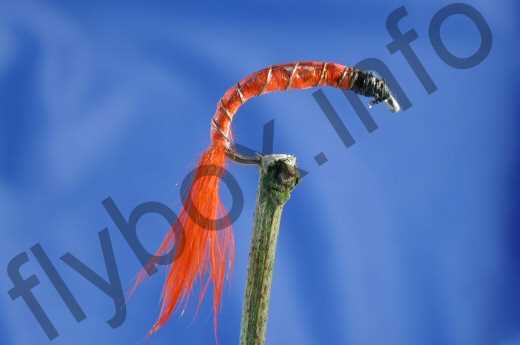 Morgan's Bloodworm